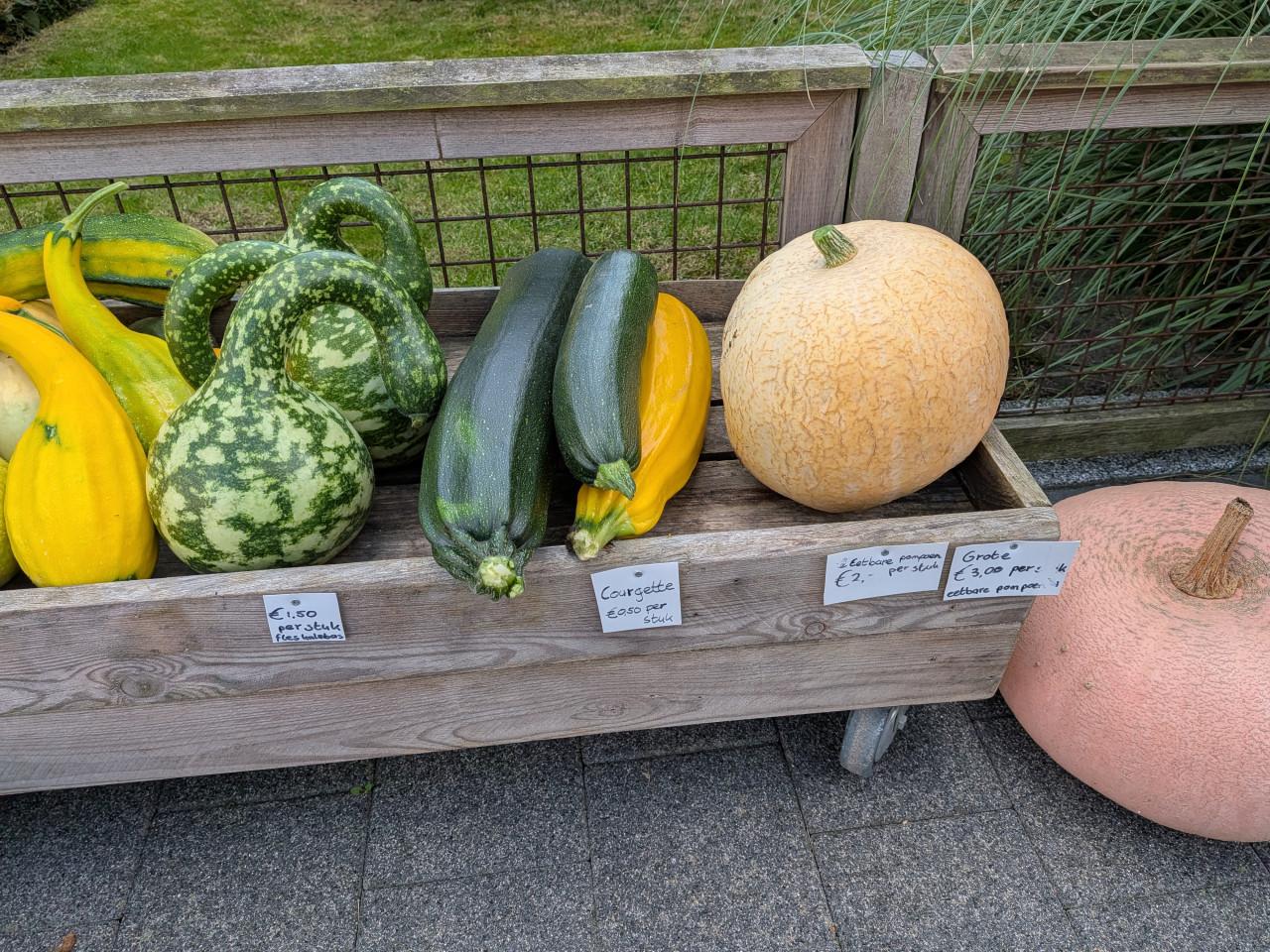 Kalebassen (ook fles), pompoenen en courgettes