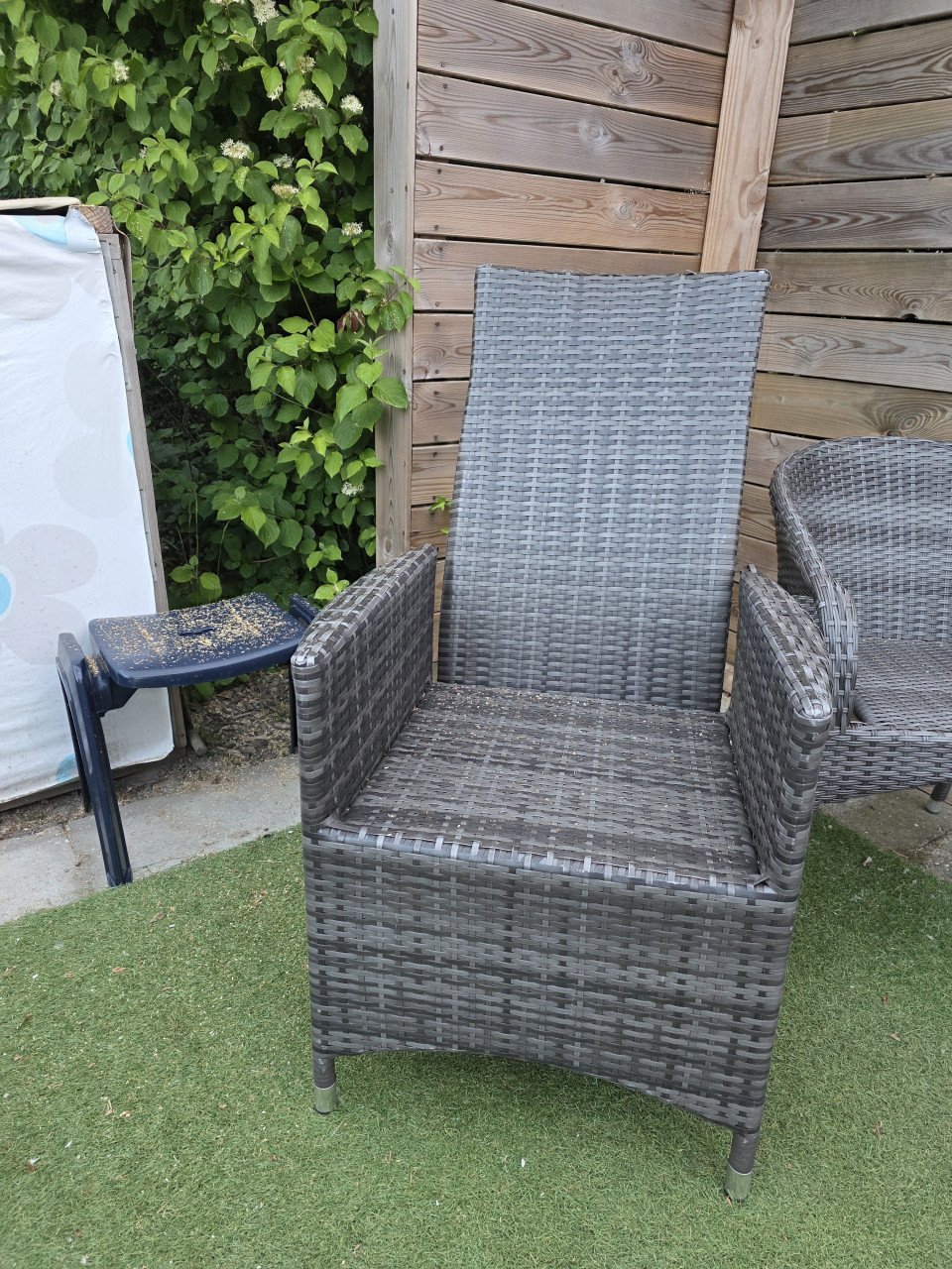 2 stuks wicker verstelbare tuinstoelen