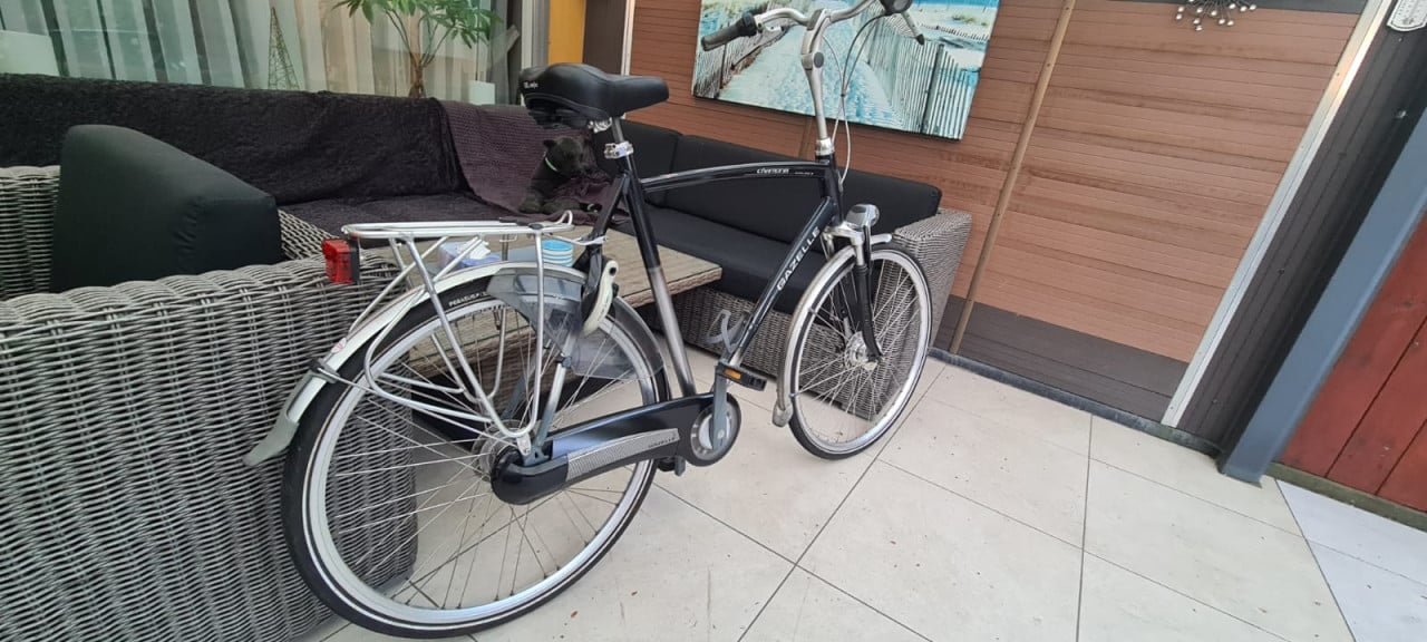 Gazelle Chamonix Excellent 65 cm