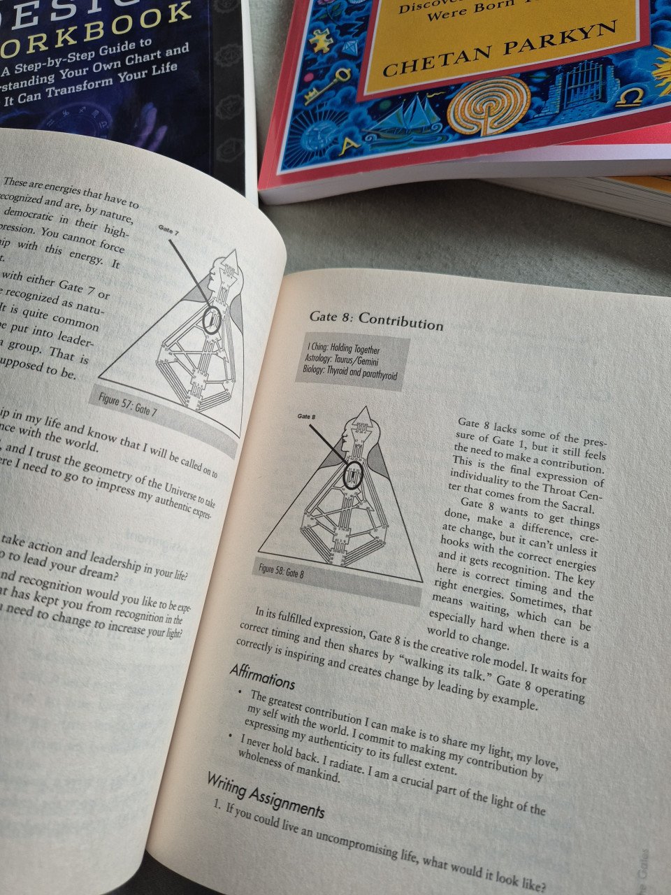 Human Design boeken