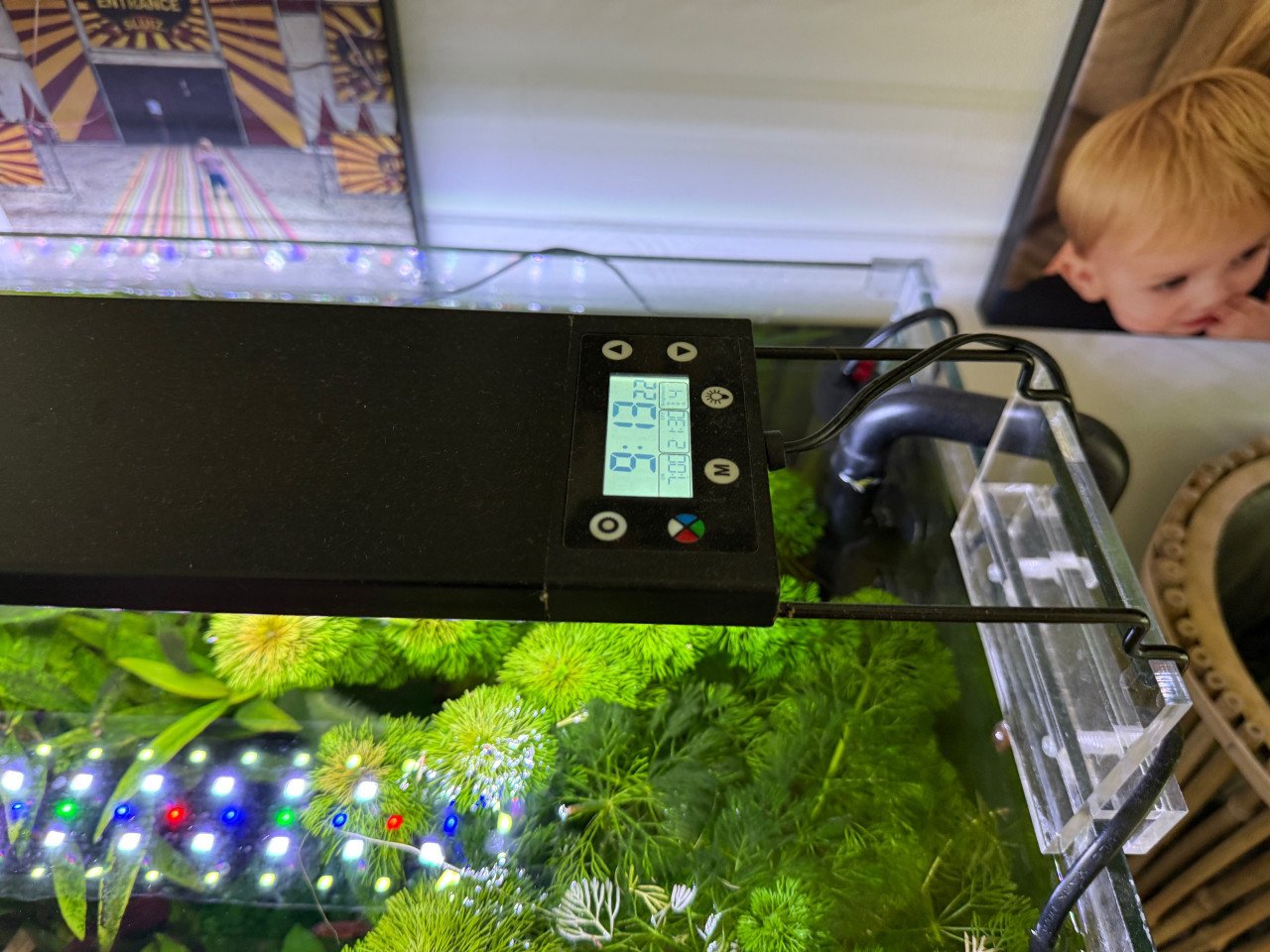 Compleet aquarium te koop Cristal Profi
