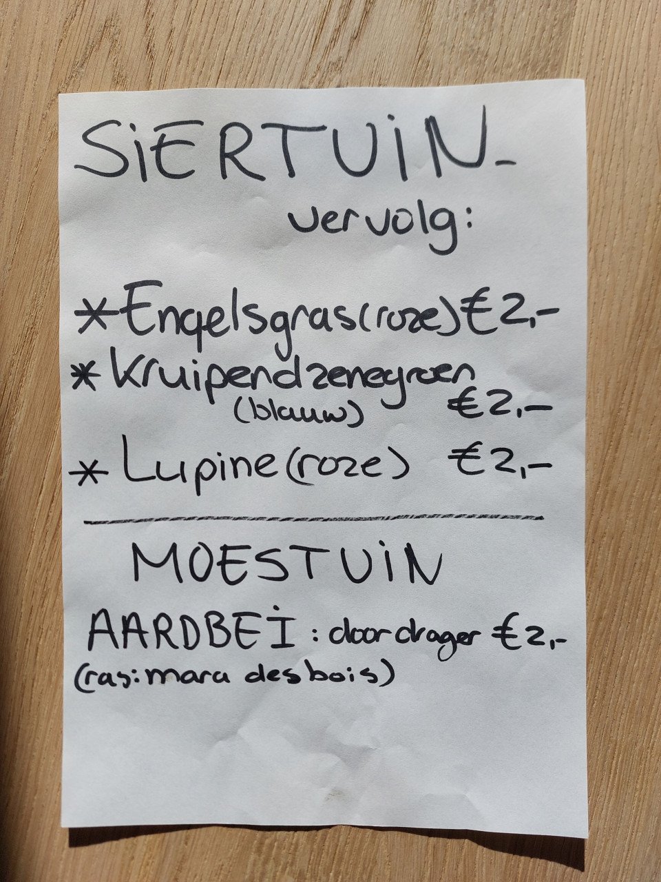 AARDBEIEN- SIERTUIN en MOESTUIN PLANTEN + BOOM bij DE VOORDEUR