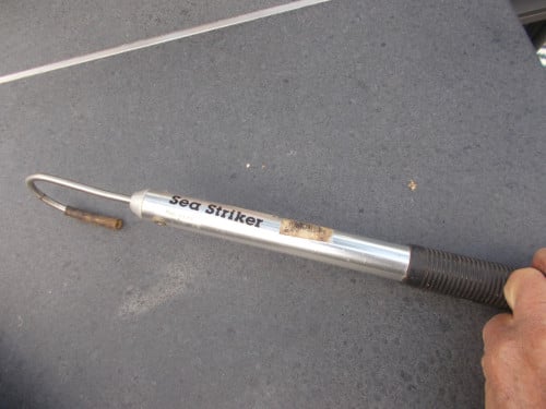 SEA STRIKER om vis binnen boord te halen