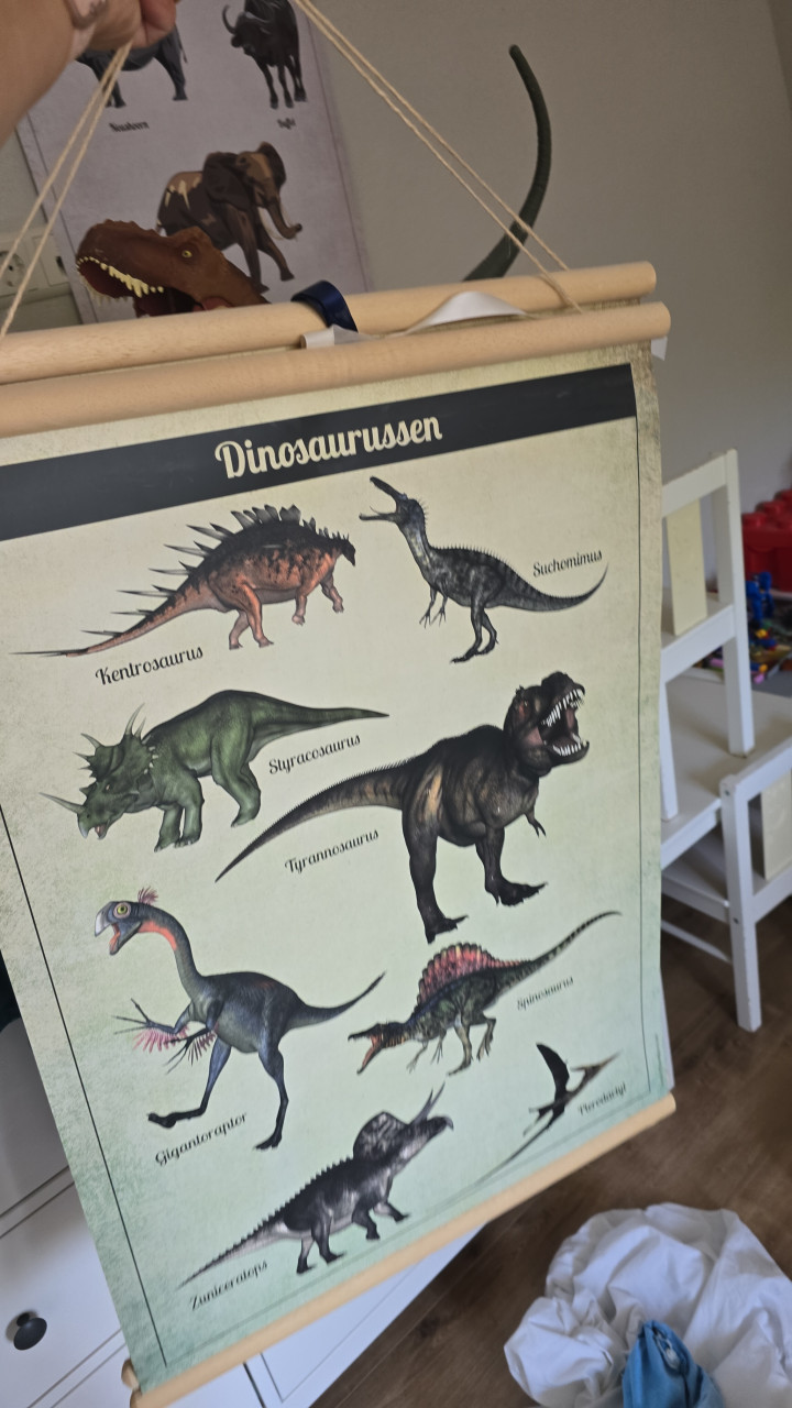 Dinosaurus spulletjes kamer