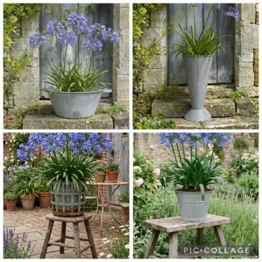 Diverse zinken items voor de tuin