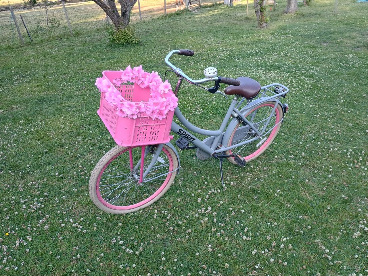 Meisjes fiets 24 " spirit grijs met roze
