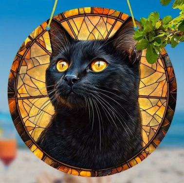 Raamhanger kat - poes