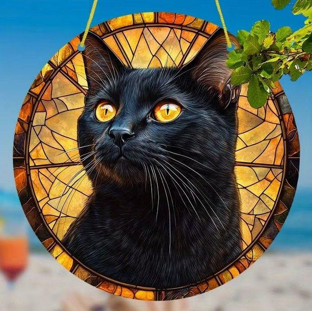 Raamhanger kat - poes