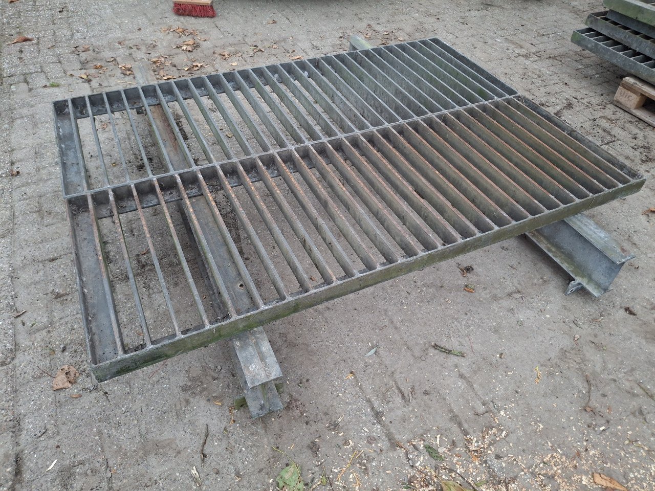 Wildroosters Te Koop