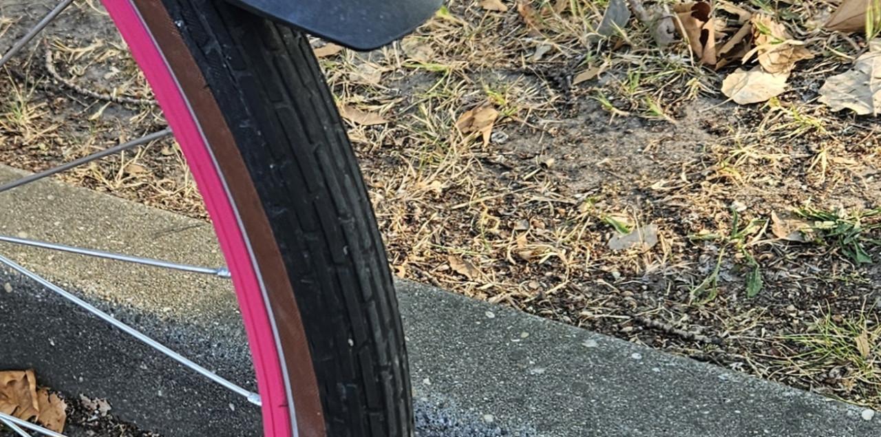 Gazelle Miss Grace Unieke Roze damesfiets