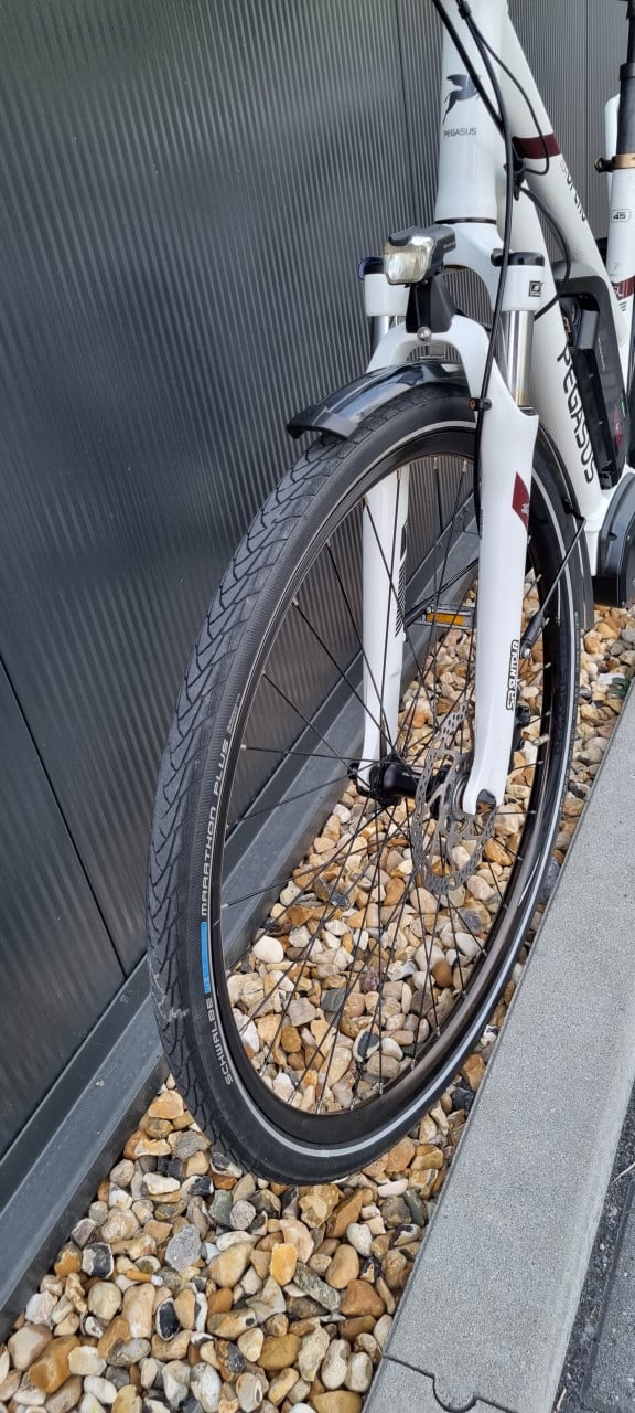 Pegasus Opero Di2 EFB 46cm 418Wh
