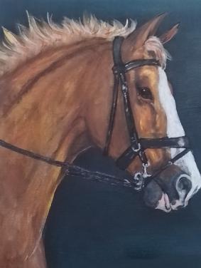 Aanbieding februari - schilderij van je paard of pony vanaf € 50,00