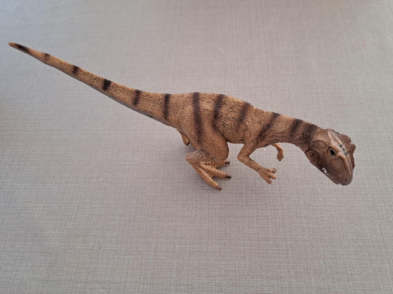 Dinosaurus Allosaurus stenen figuur