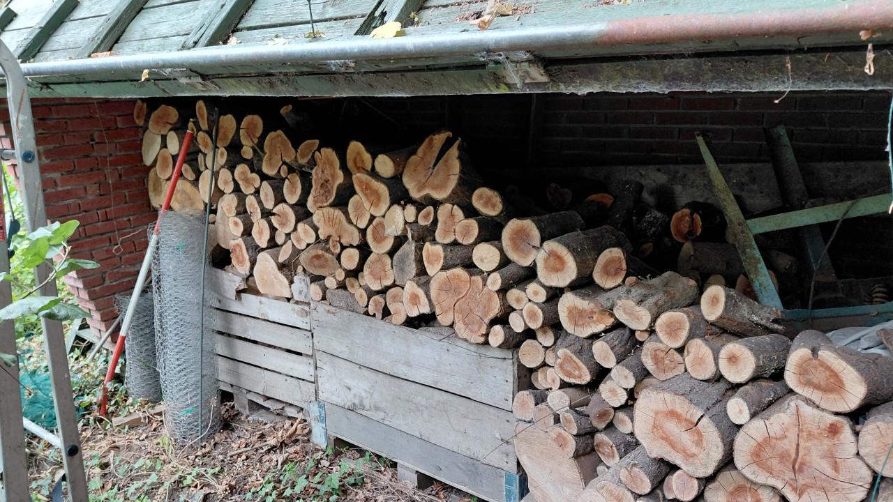 Haardhout