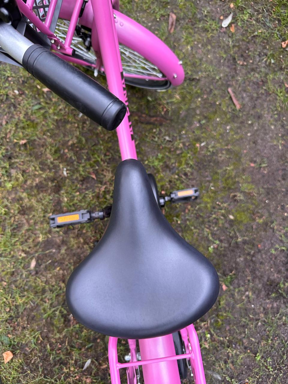 Meisjesfiets - 20 inch - Alpina Cargo Fuchsia Pink Matt