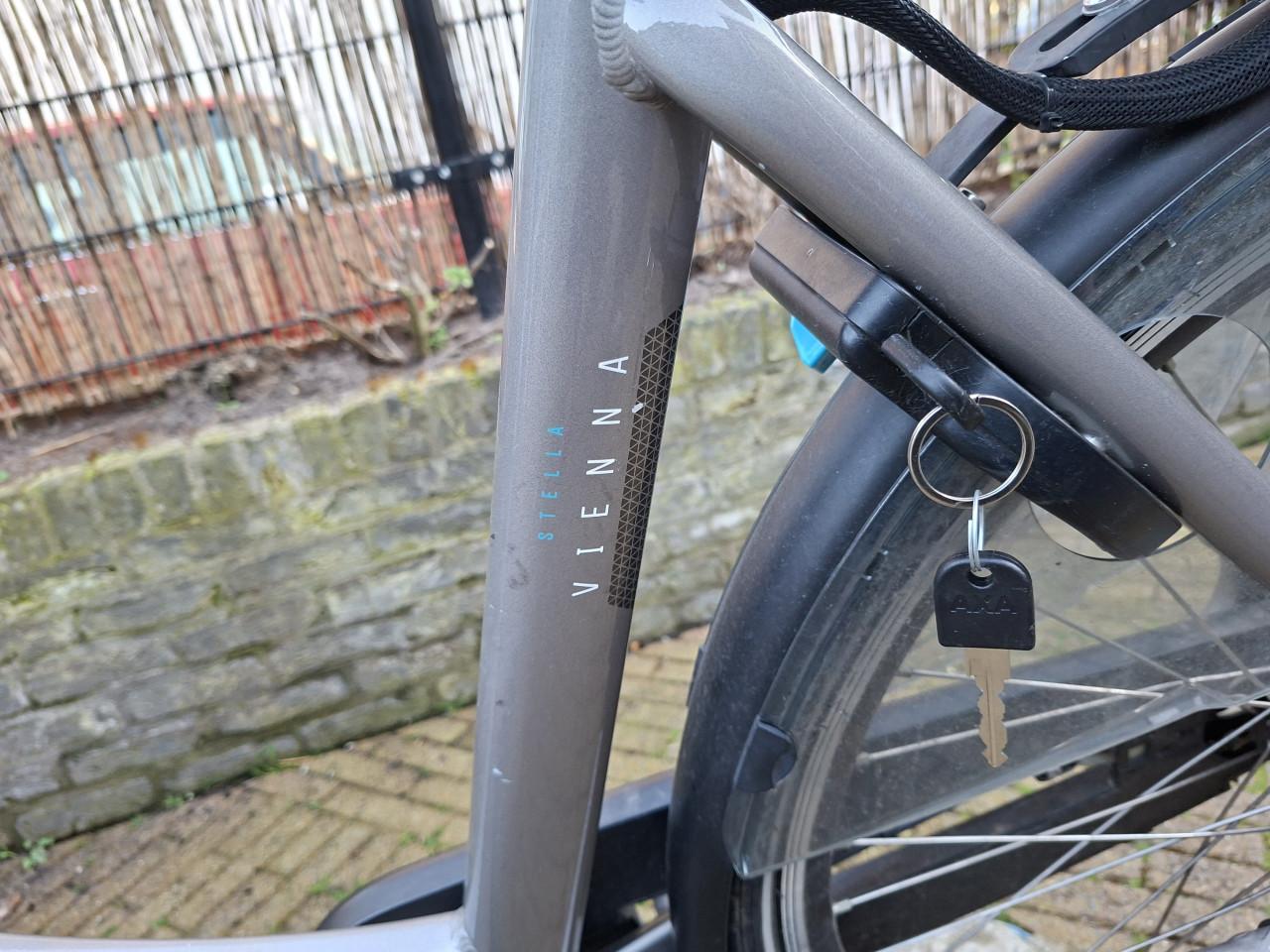 Elektrische fiets Bieden