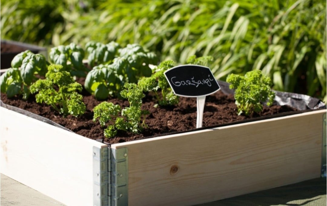 Moestuin bakken / palletranden
