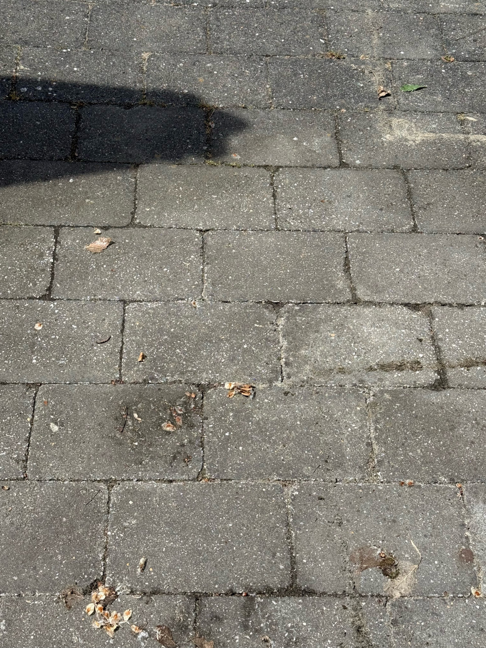 Tuintegels - 2 soorten!