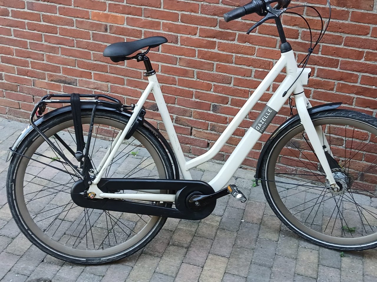 Gazelle esprit