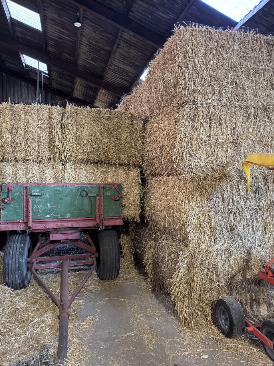 Te koop weide hooi ,kuilbalen en stro