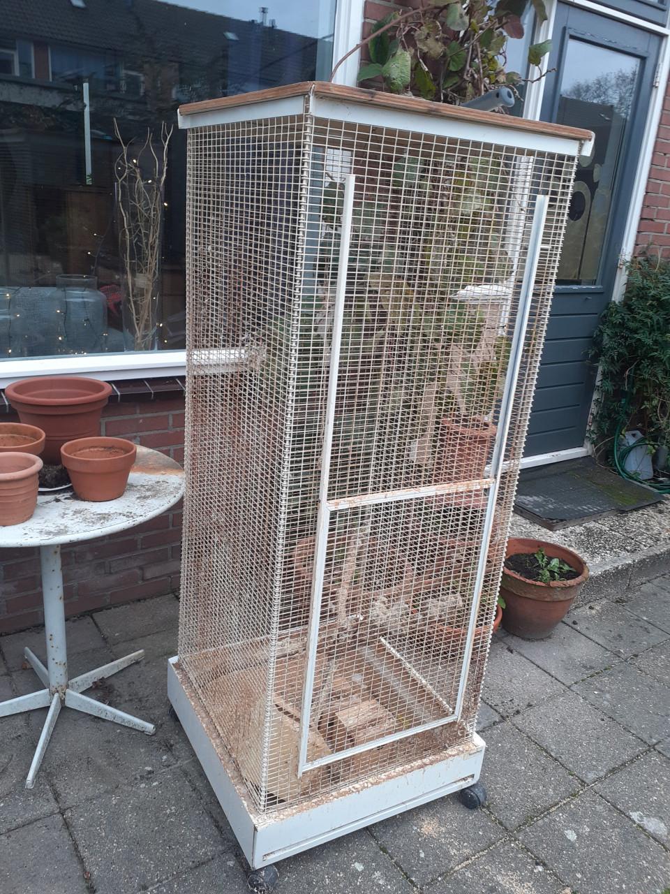 Vogelkooi 60 x 60 x 160 cm hoog