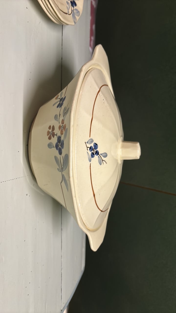 Servies Sarreguemines Digoin