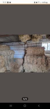 Graszaadhooi hooi te koop kleine balen