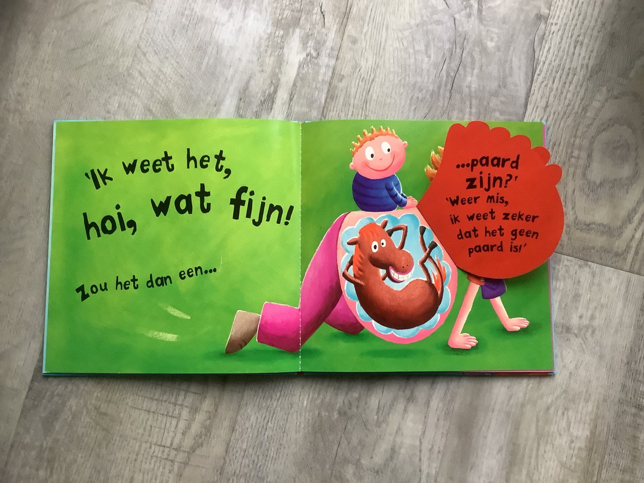 Boek, wat zit er in je buik mama