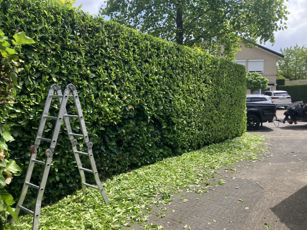 Vakbekwaam hovenier heeft nog tijd over
