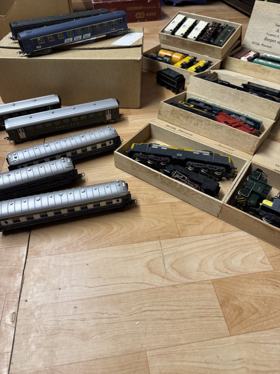 Fleisman ho trein set