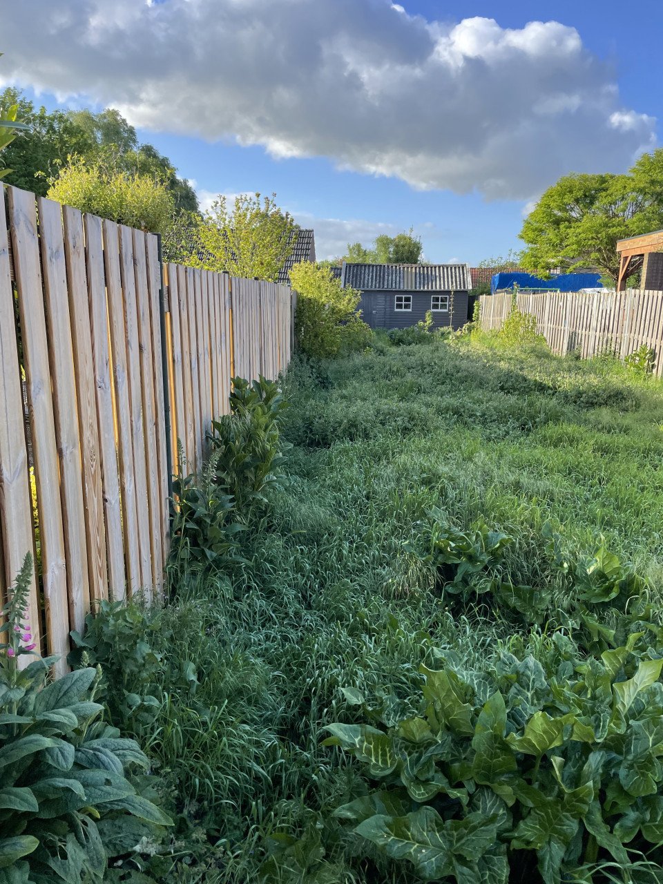 Tuinonderhoud