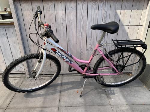 Galaxy Powerbike 24 inch wielen,  .