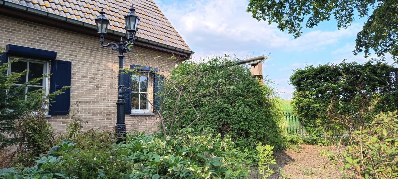 Route: Open Tuinen Waasland tijdens het Pinksterweekend, inkom gratis !