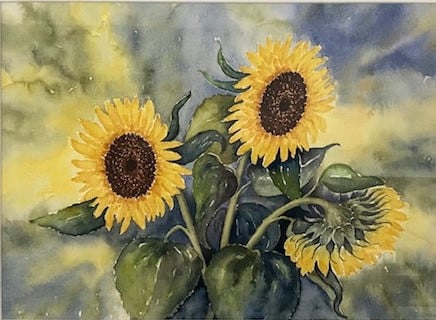 PRACHTIGE AQUAREL ZONNEBLOEMEN IN BLAUW HOUTEN LIJST