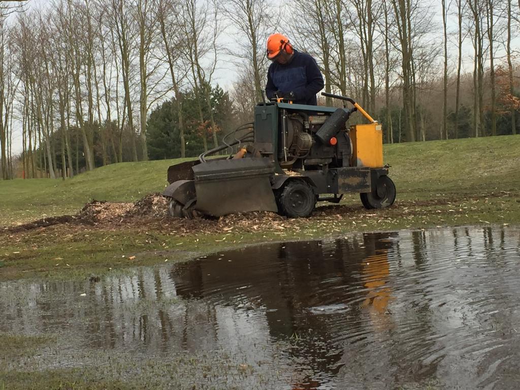 Een stronk welke weg gefreesd moet worden