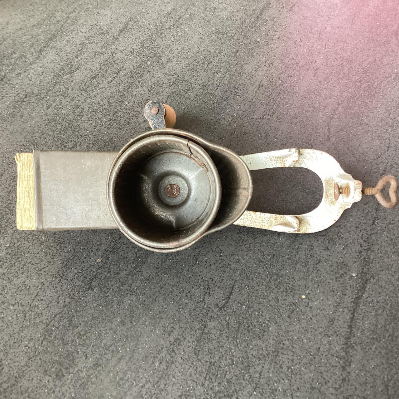 Molen/Rasp. curiosa,