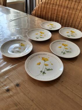 MARJOLEIN BASTIN , WILDFLOWERS -  6  PETIT FOUR BORDJES - DIAMETER 12 CM