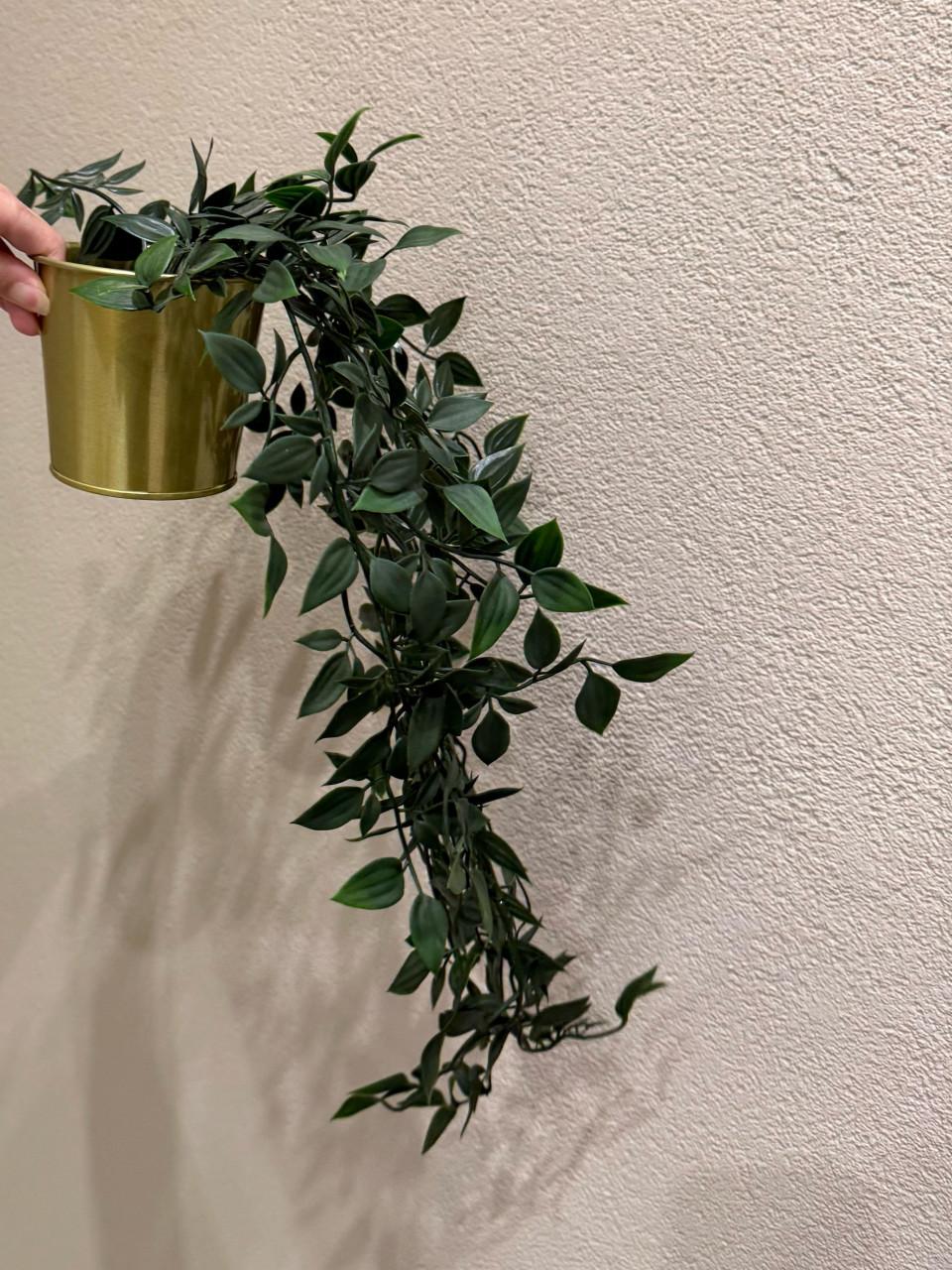 Macramé plantenset