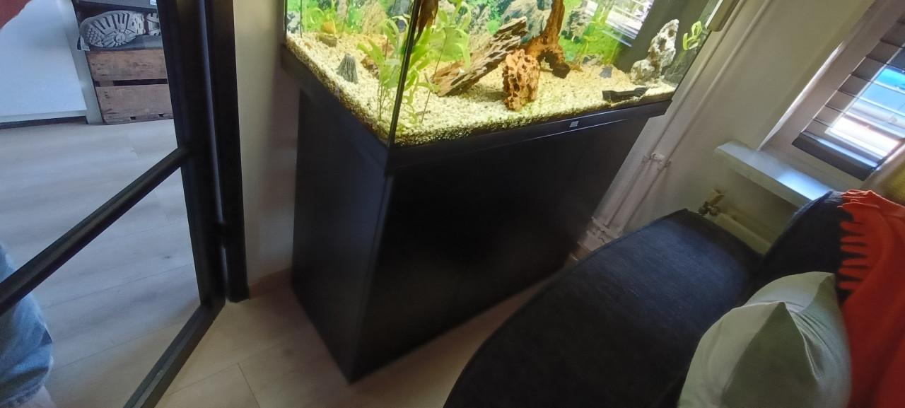 Juwel Rio 180 aquarium