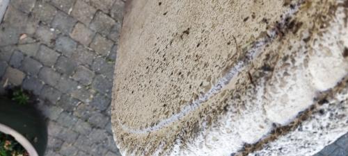 Betonnen tuintafelblad, ovaal, zwaar gewapend beton, geen breuk