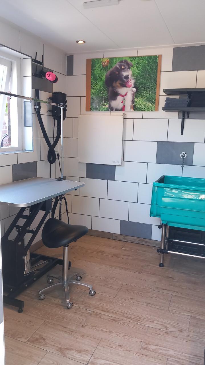 Plekjes vrij in de trimsalon