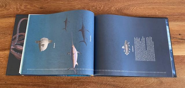 Nieuw | Diep in de blauwe zee | Gianumberto Accinelli