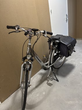 Giant Go Double e-bike