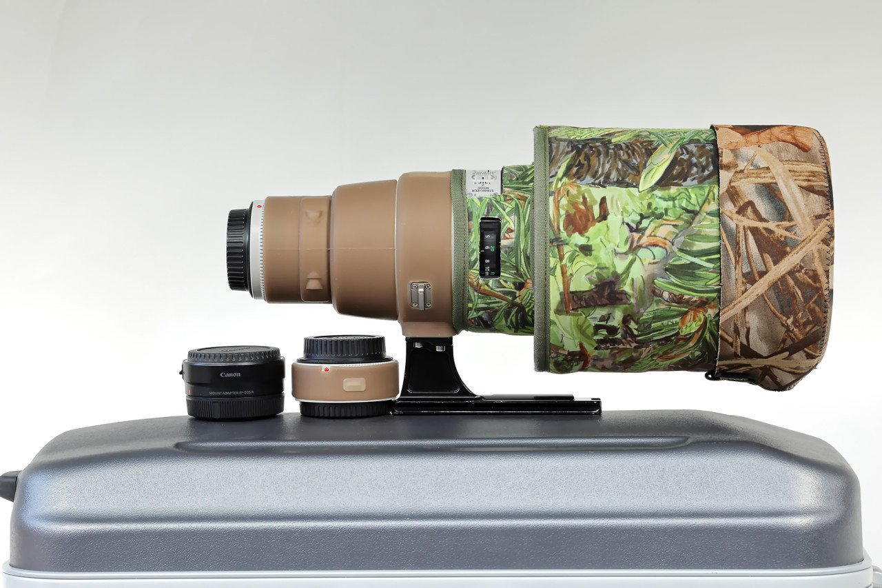 Canon EF 500mm f/4L IS II USM