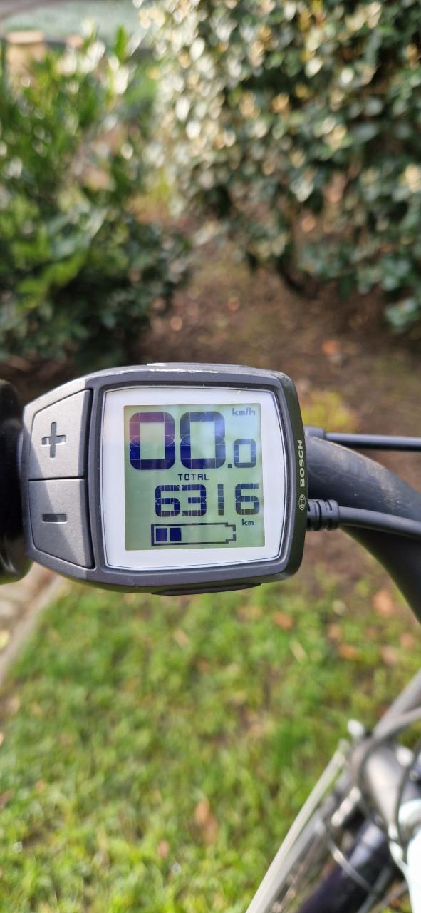 Elektrische Gazelle heren/dames fiets