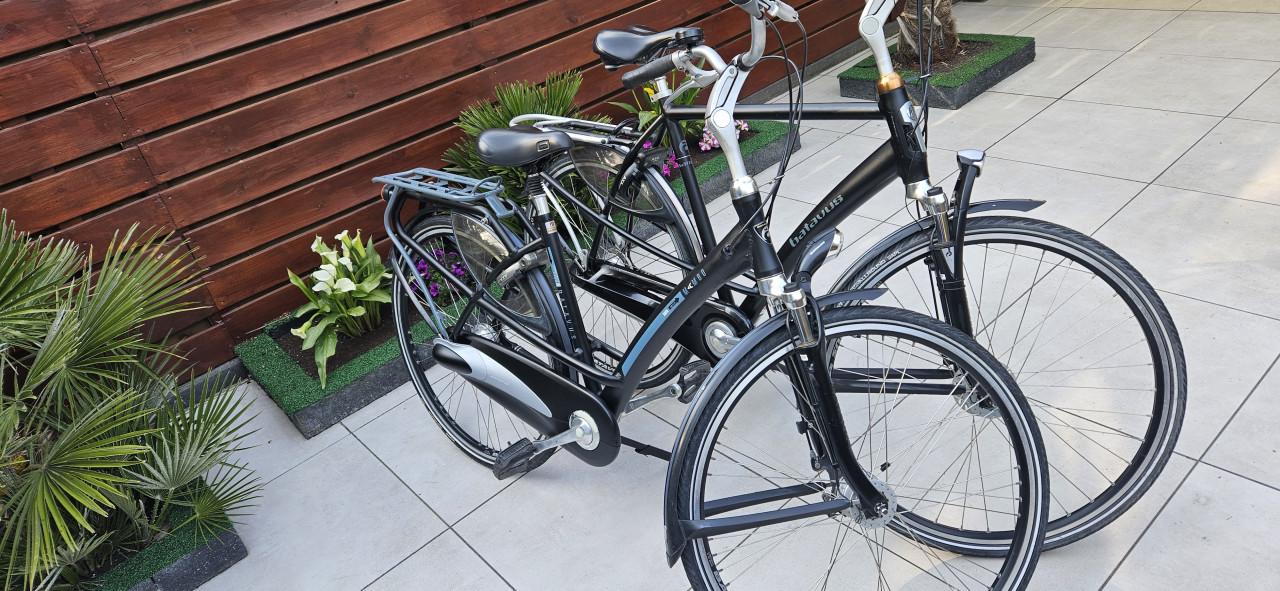 Batavus Mambo Herenfiets en Damesfiets