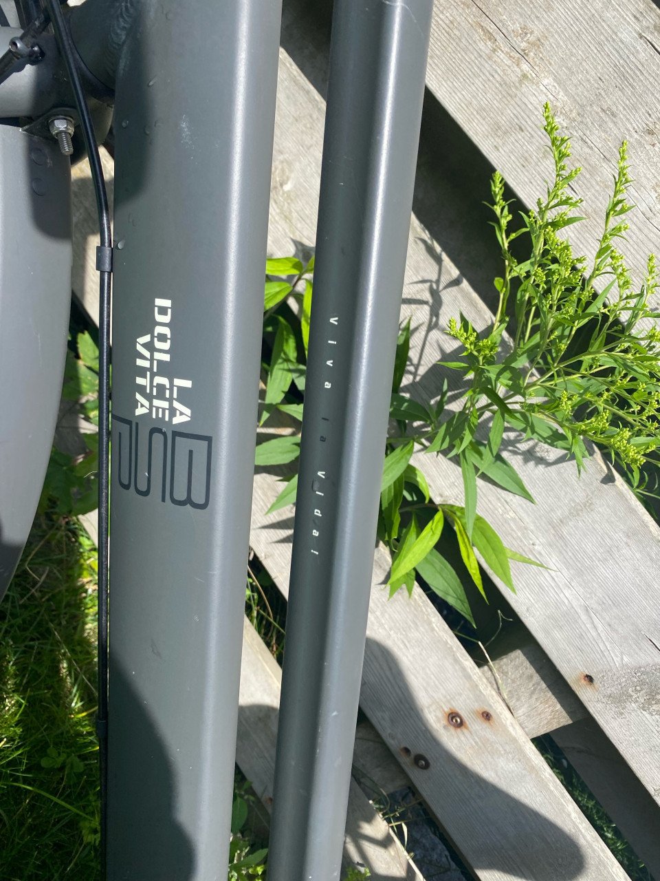 Fiets dames moederfiets BSP