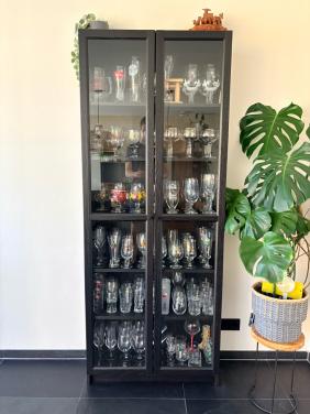 IKEA Billy kast met glazen deur