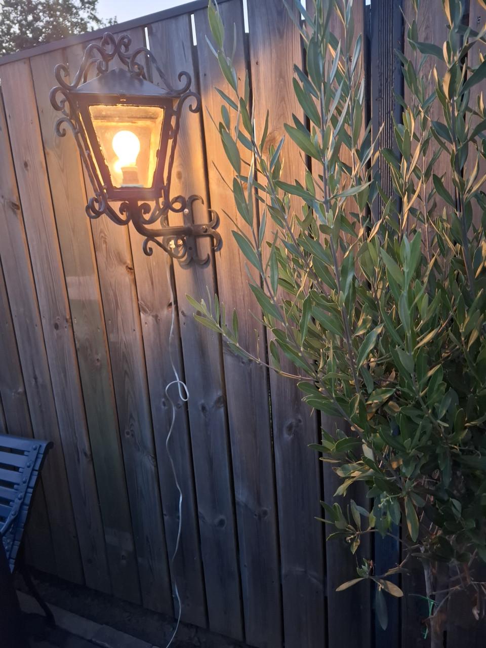 Rijkelijk versierde buitenlamp