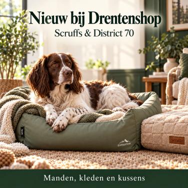 Hondenmanden